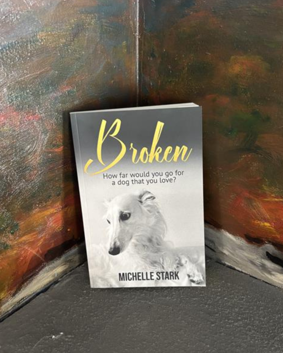 Broken-image Broken by Michelle Stark