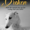 broken-cover-ebook Broken by Michelle Stark