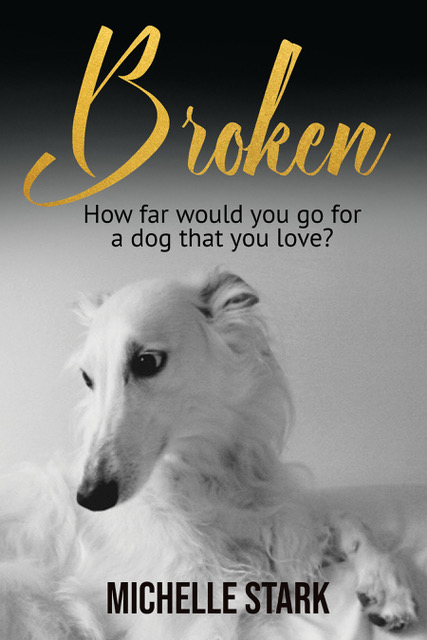 Broken by Michelle Stark